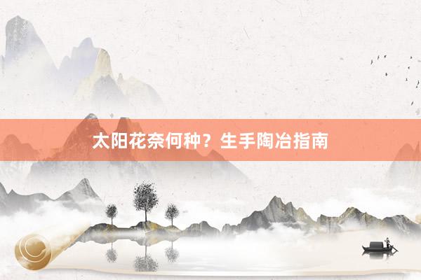 太阳花奈何种？生手陶冶指南